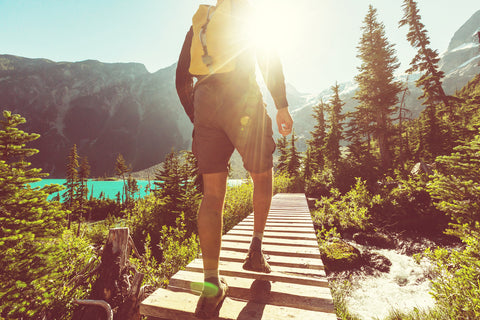 A hiker walks across a bridge in a high alpine environment.